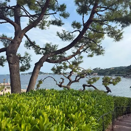 Apartament 3 Avec Terrasse Sur